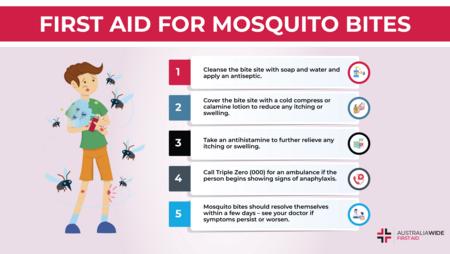 关于蚊子叮咬的急救信息图