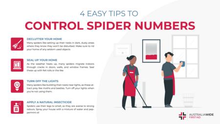 关于控制蜘蛛数量的4个技巧的信息图