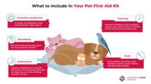信息图表包括什么在宠物急救箱