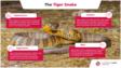 关于虎蛇的信息图