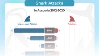 2012-2020年澳大利亚鲨鱼袭击统计图表